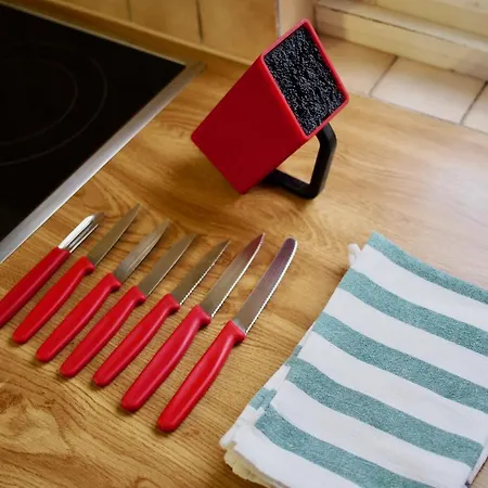 Alscher's Apartament Interlaken