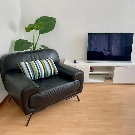 Alscher's Interlaken