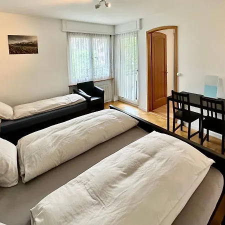 Alscher's * Interlaken