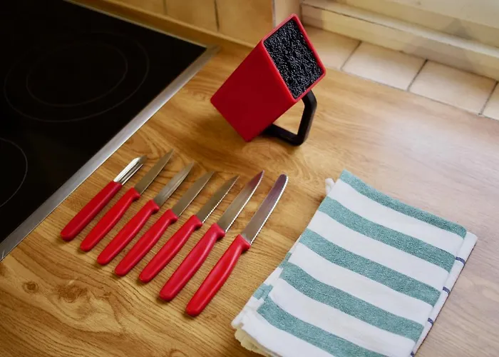 Alscher's Lägenhet Interlaken