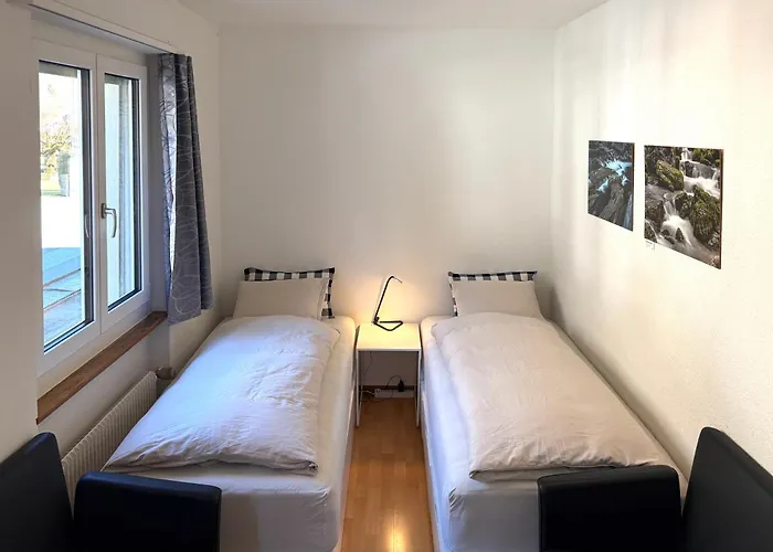 Alscher's Apartament Interlaken